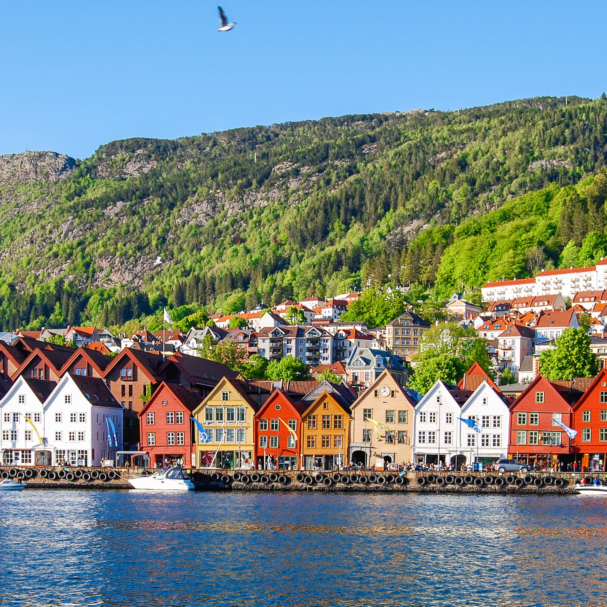 Gran tour della Scandinavia