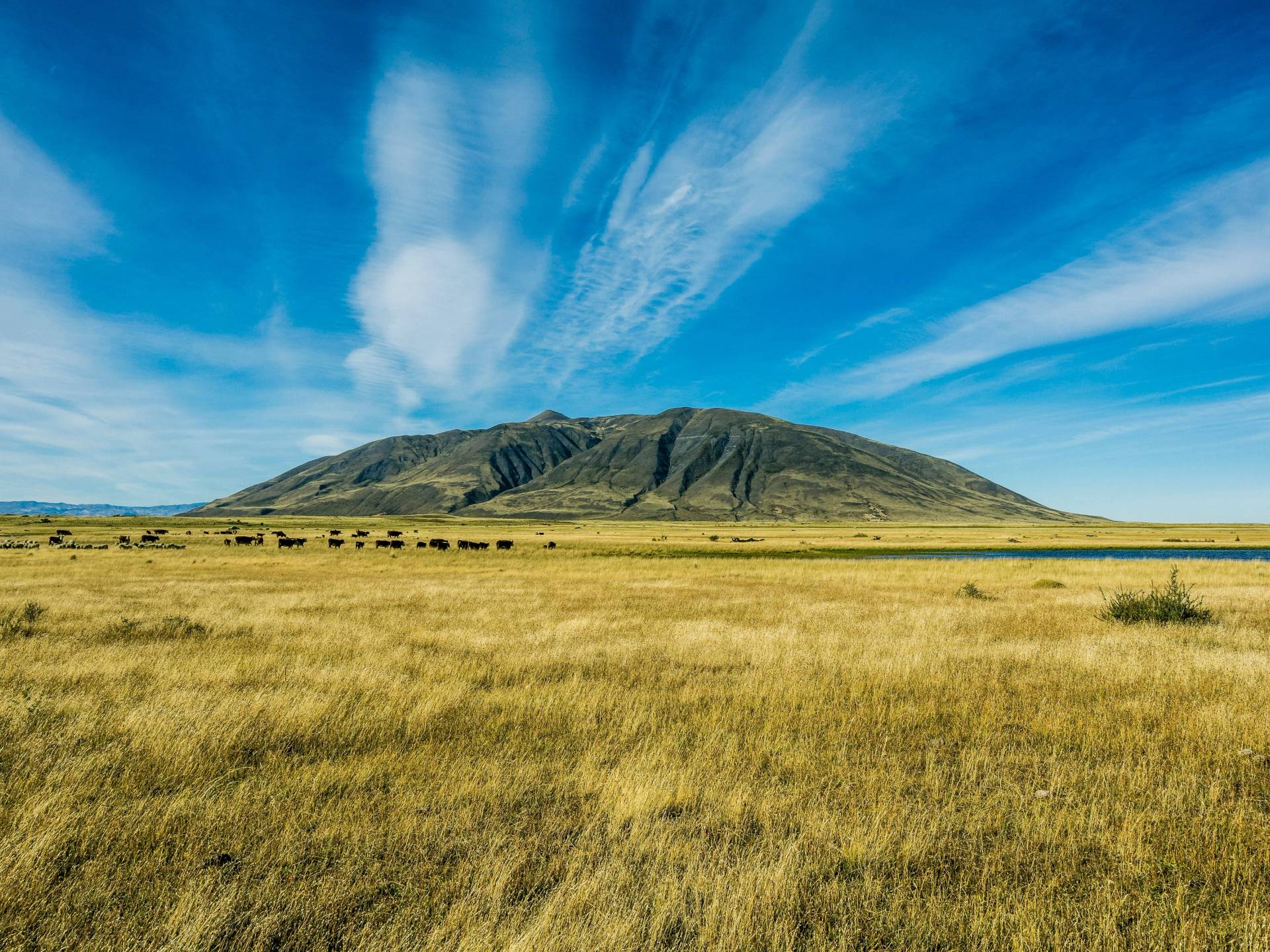 Argentina tra Tradizioni e Natura cover