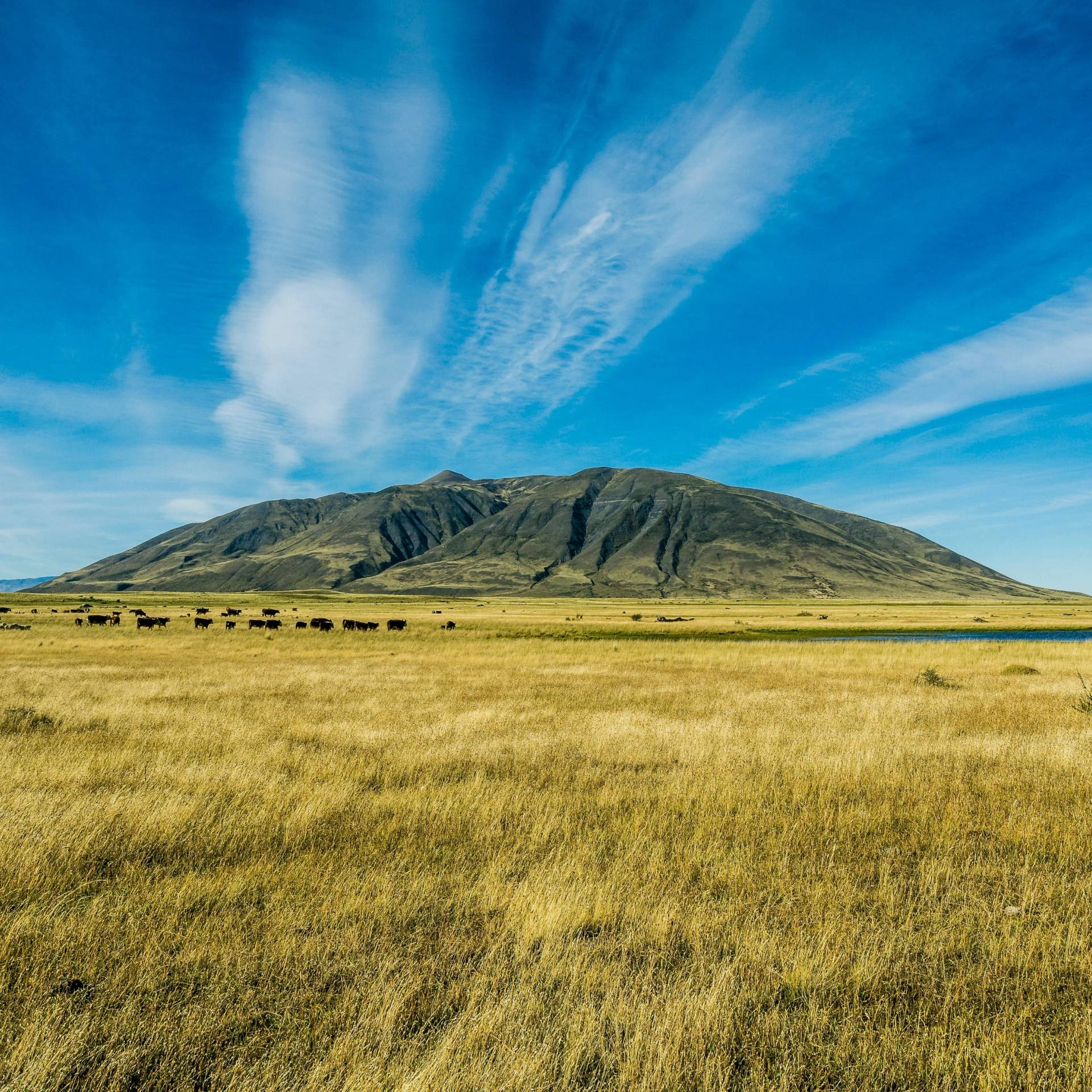 Argentina tra Tradizioni e Natura