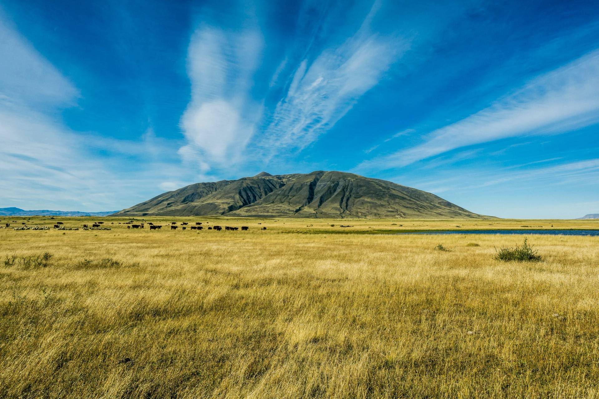 la pampa