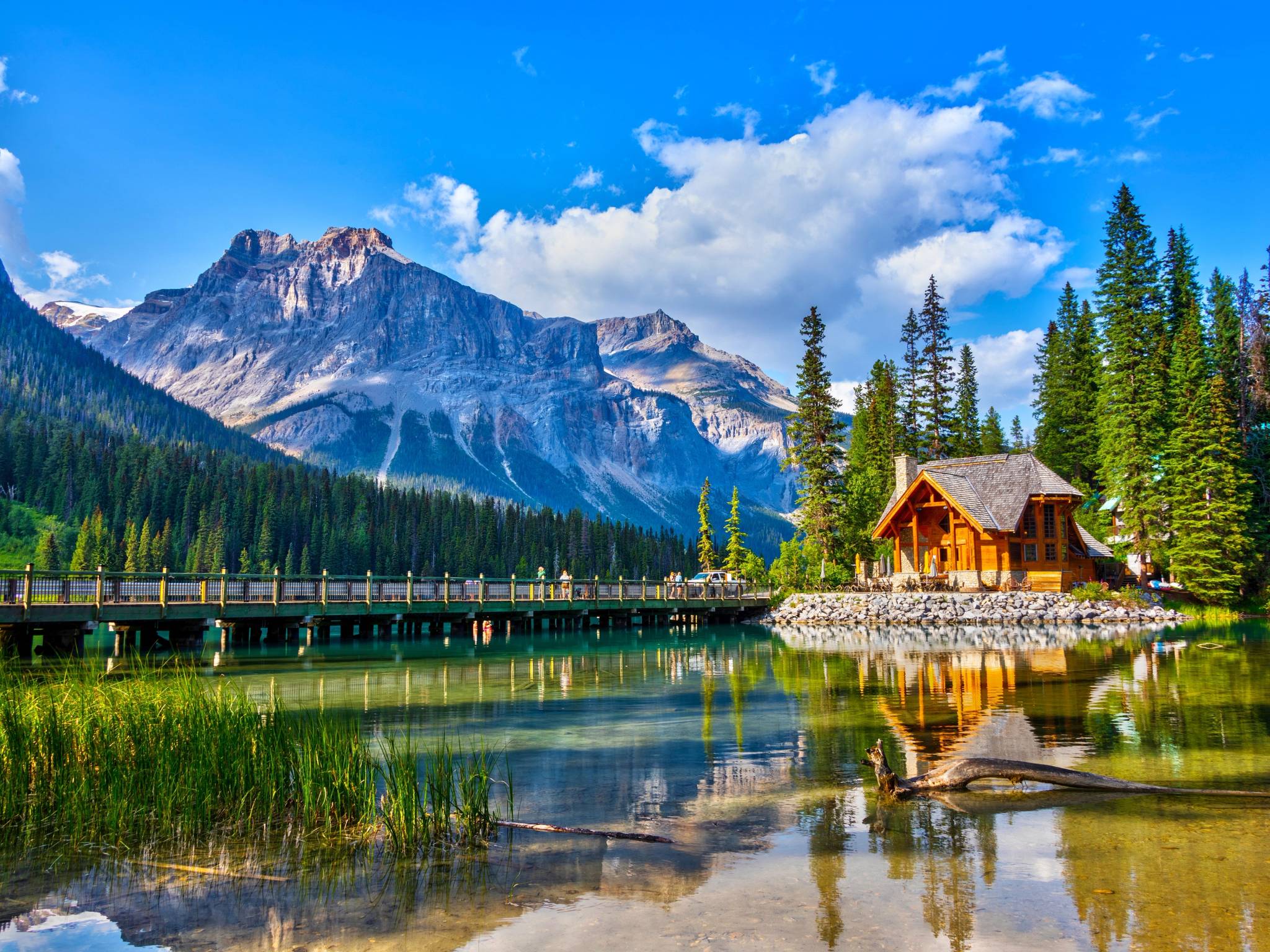 Tour estivo a Madonna di Campiglio cover