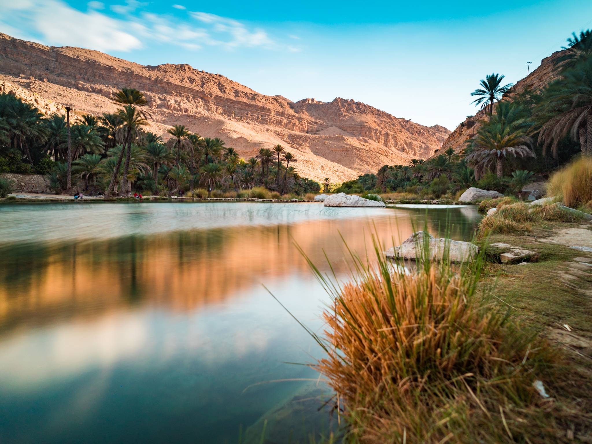 Gran tour di Oman ed Emirati Arabi cover
