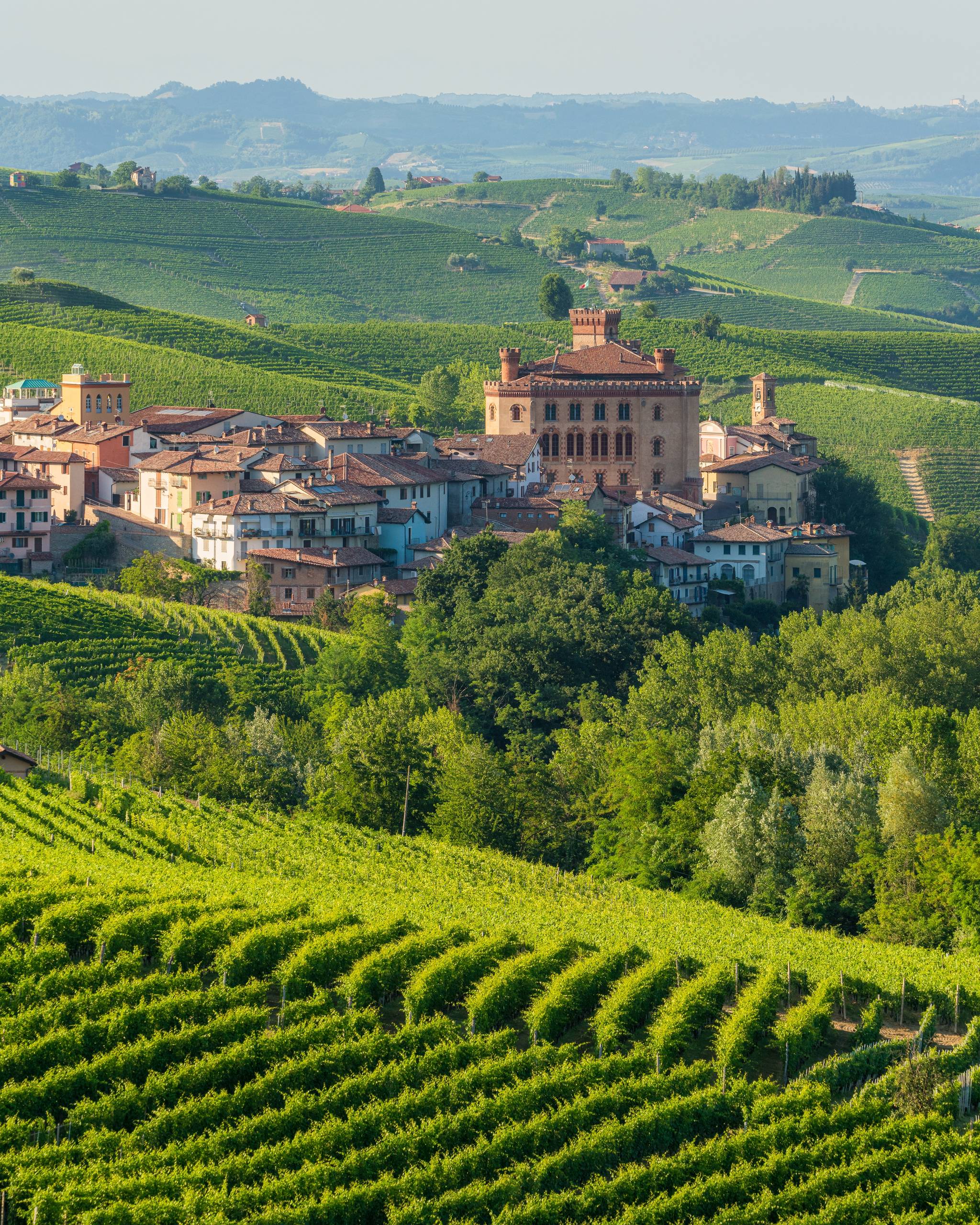 countryside in langhe