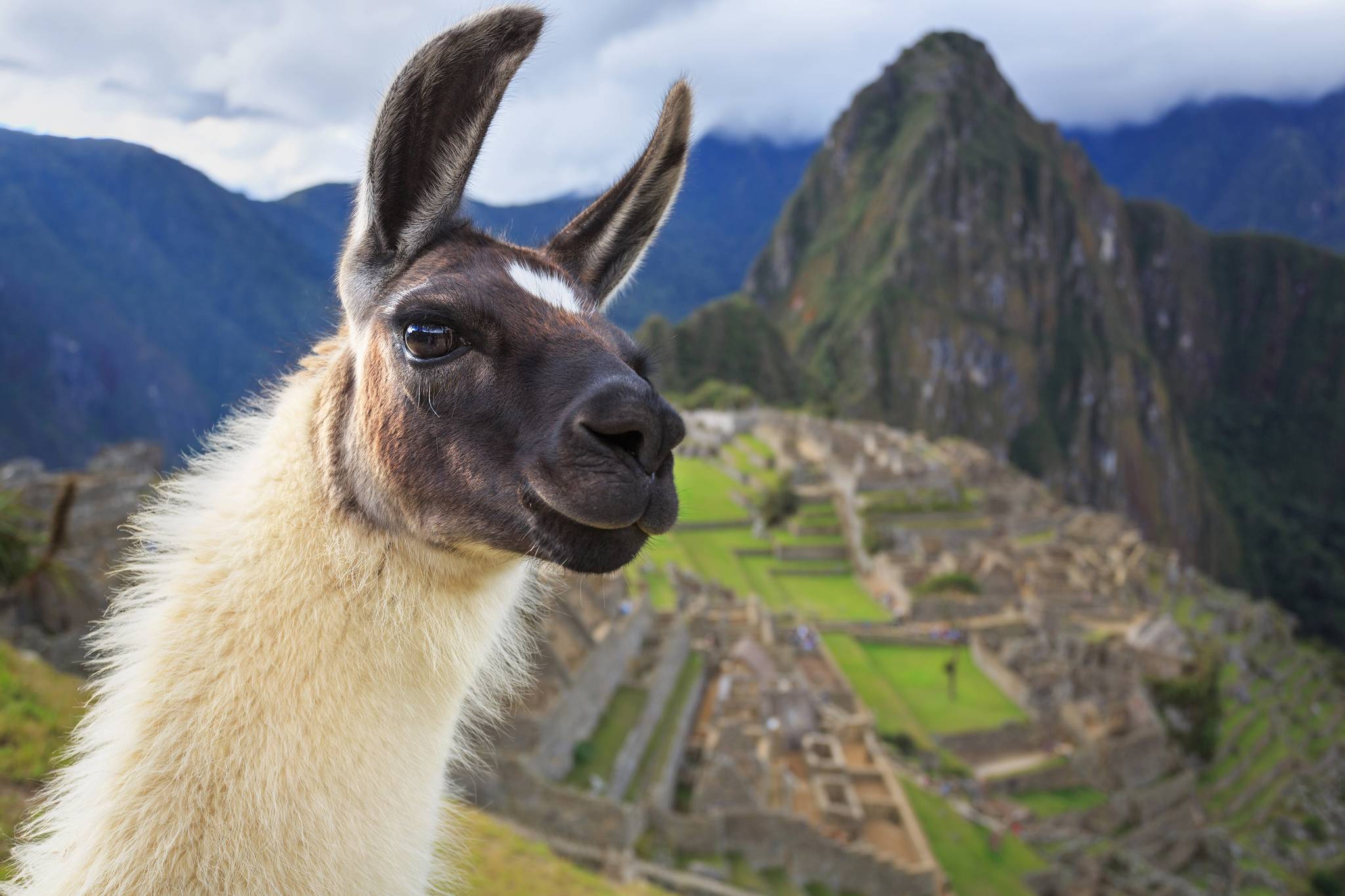 machu picchu peru