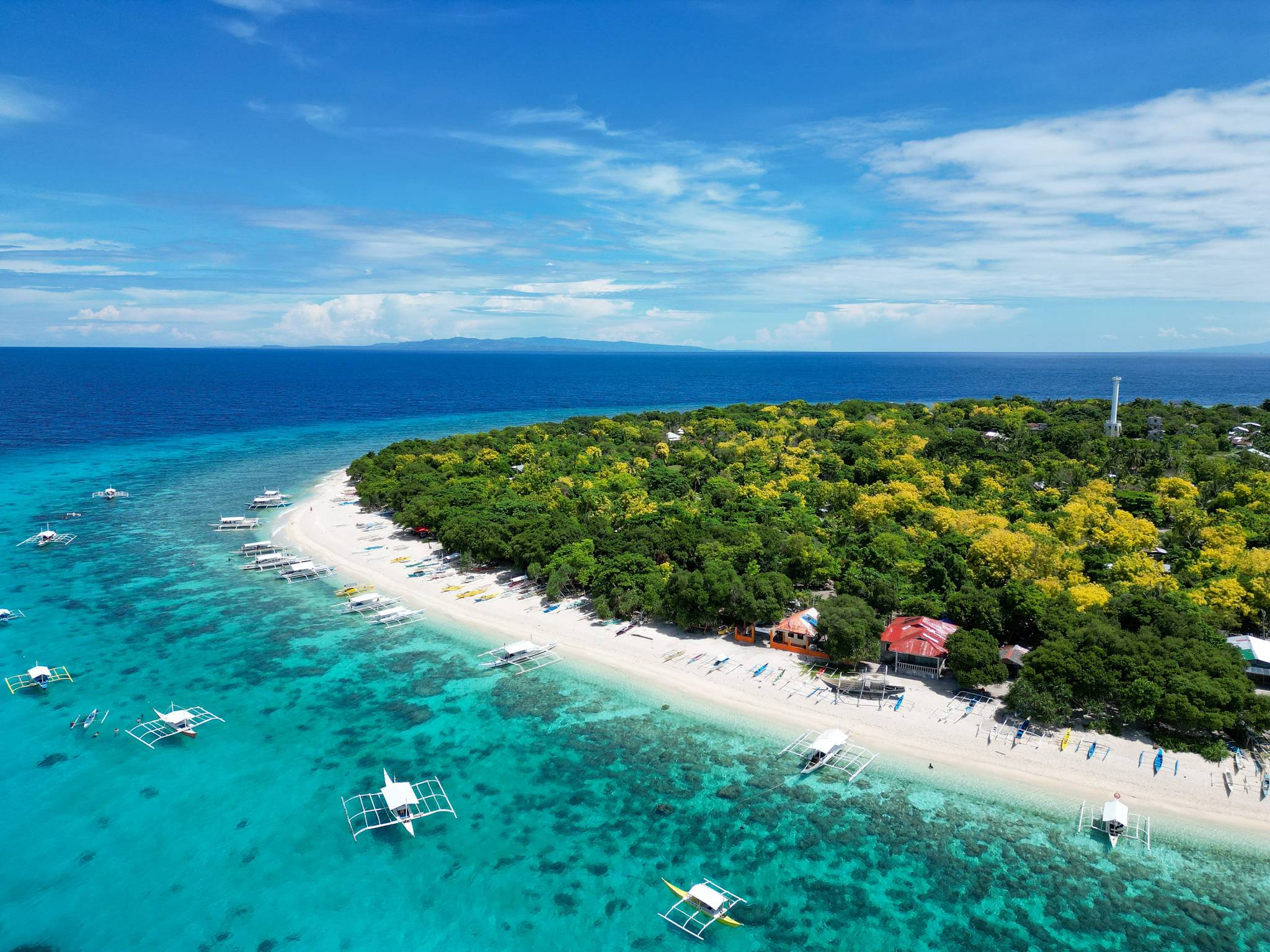 isola di bohol