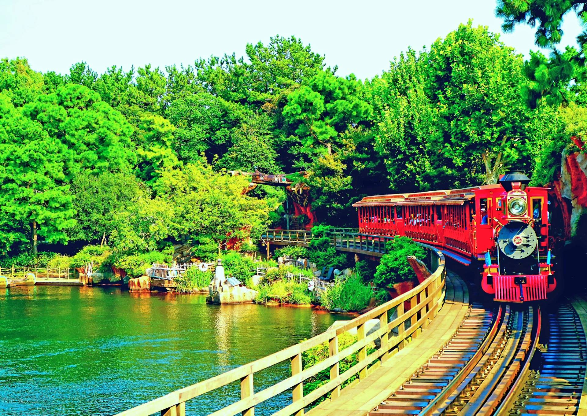 tokyo disneyland