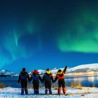 persone si tengono per mano mentre guardano l aurora boreale