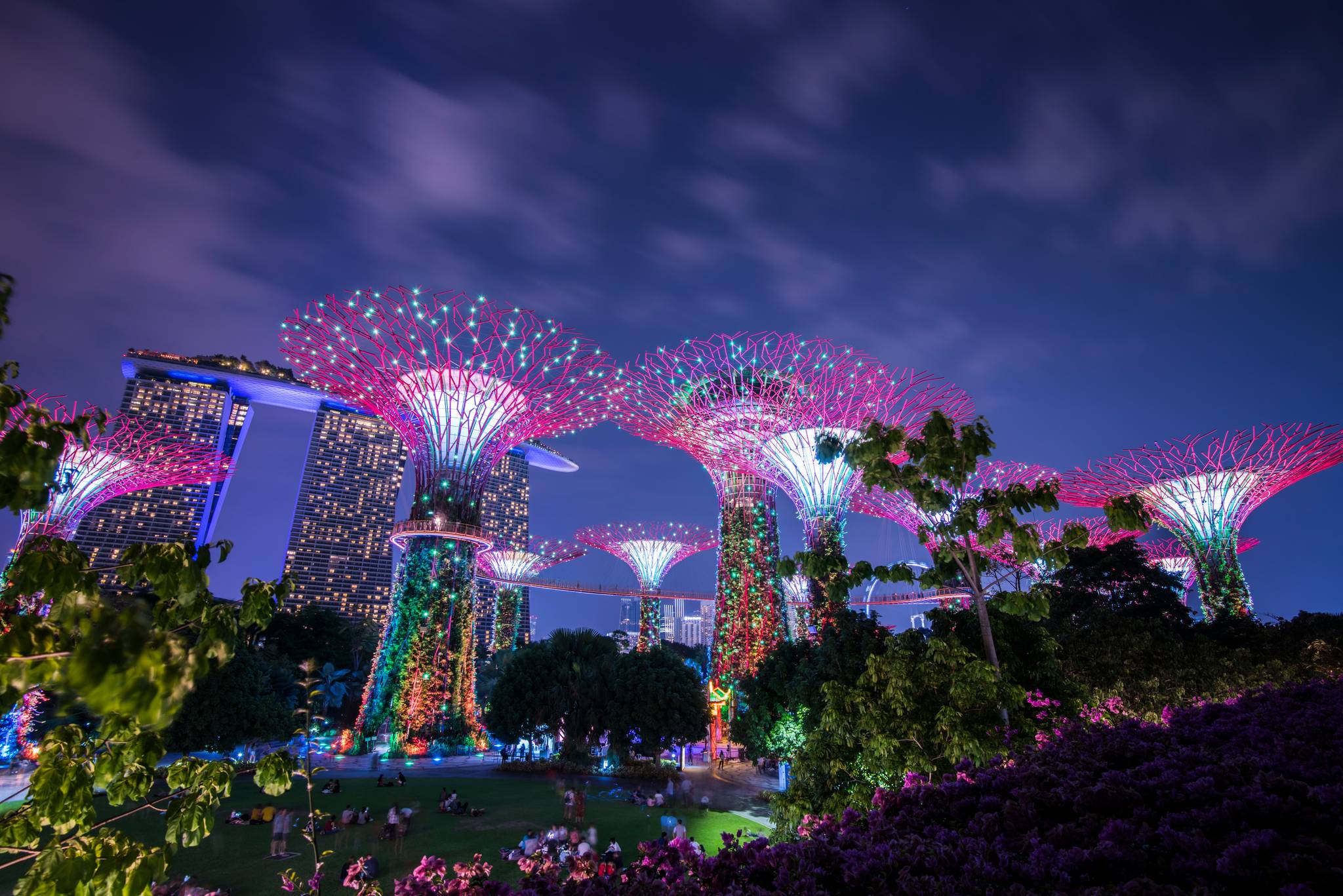 gardens by the bay