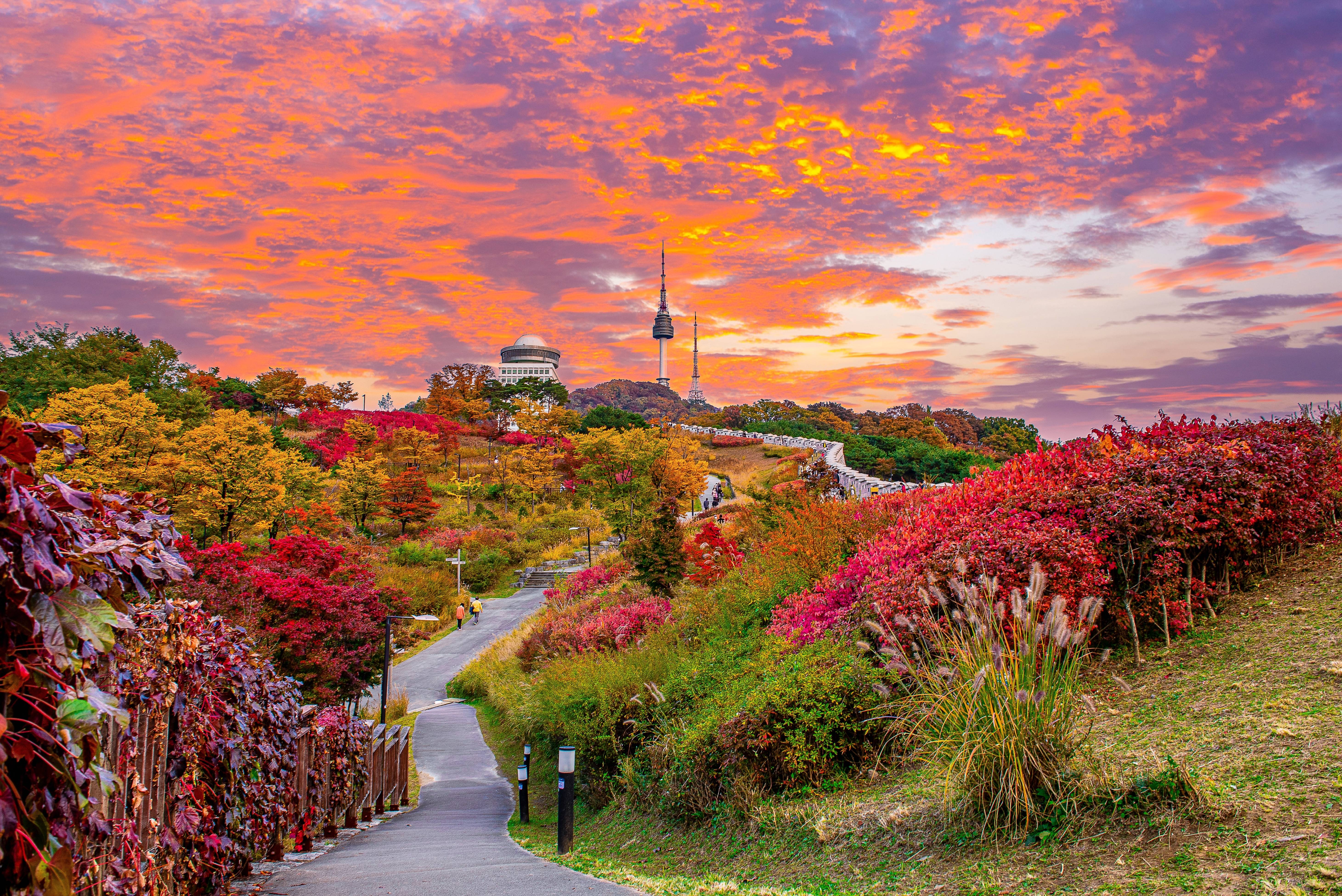 corea del sud