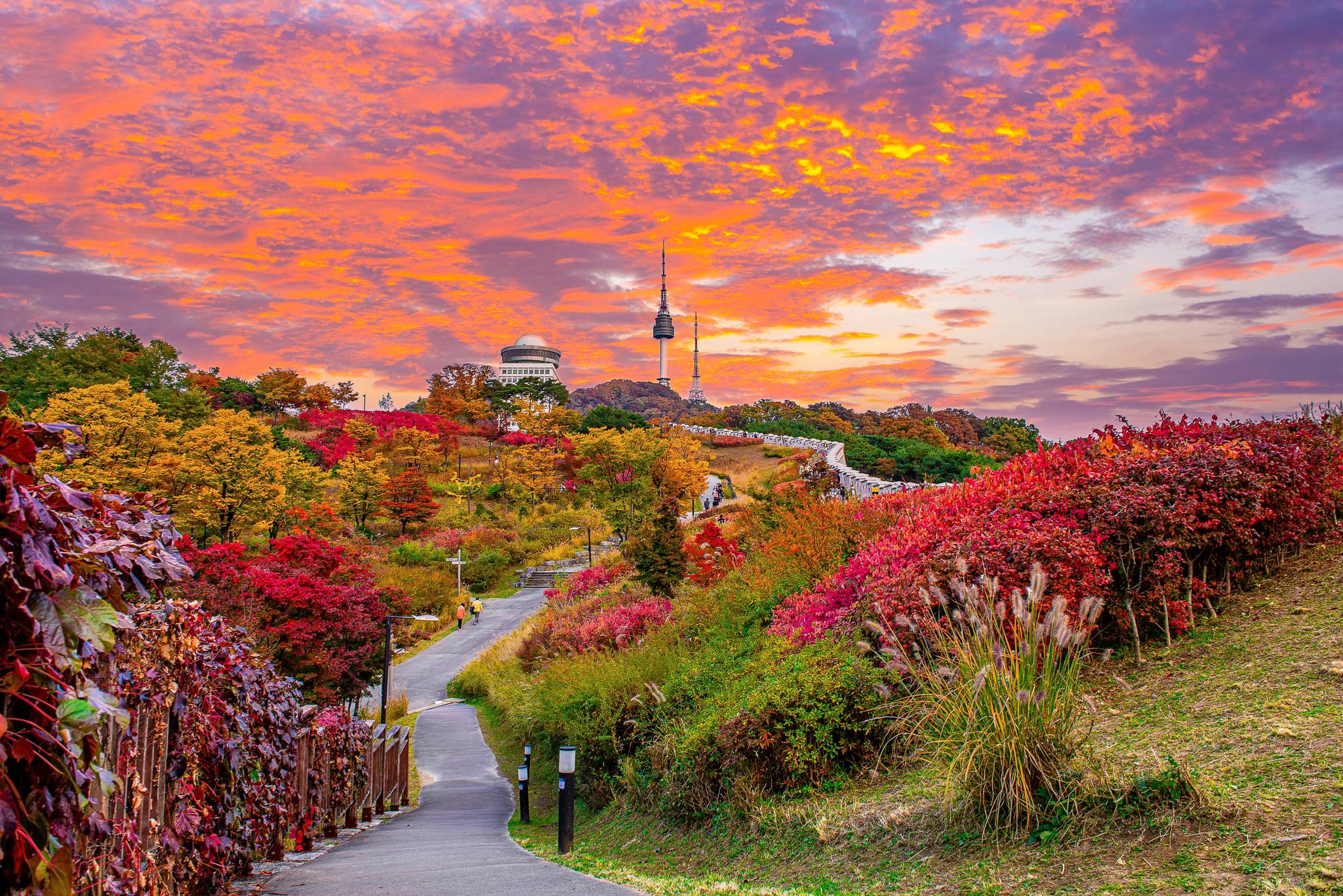 autunno corea del sud