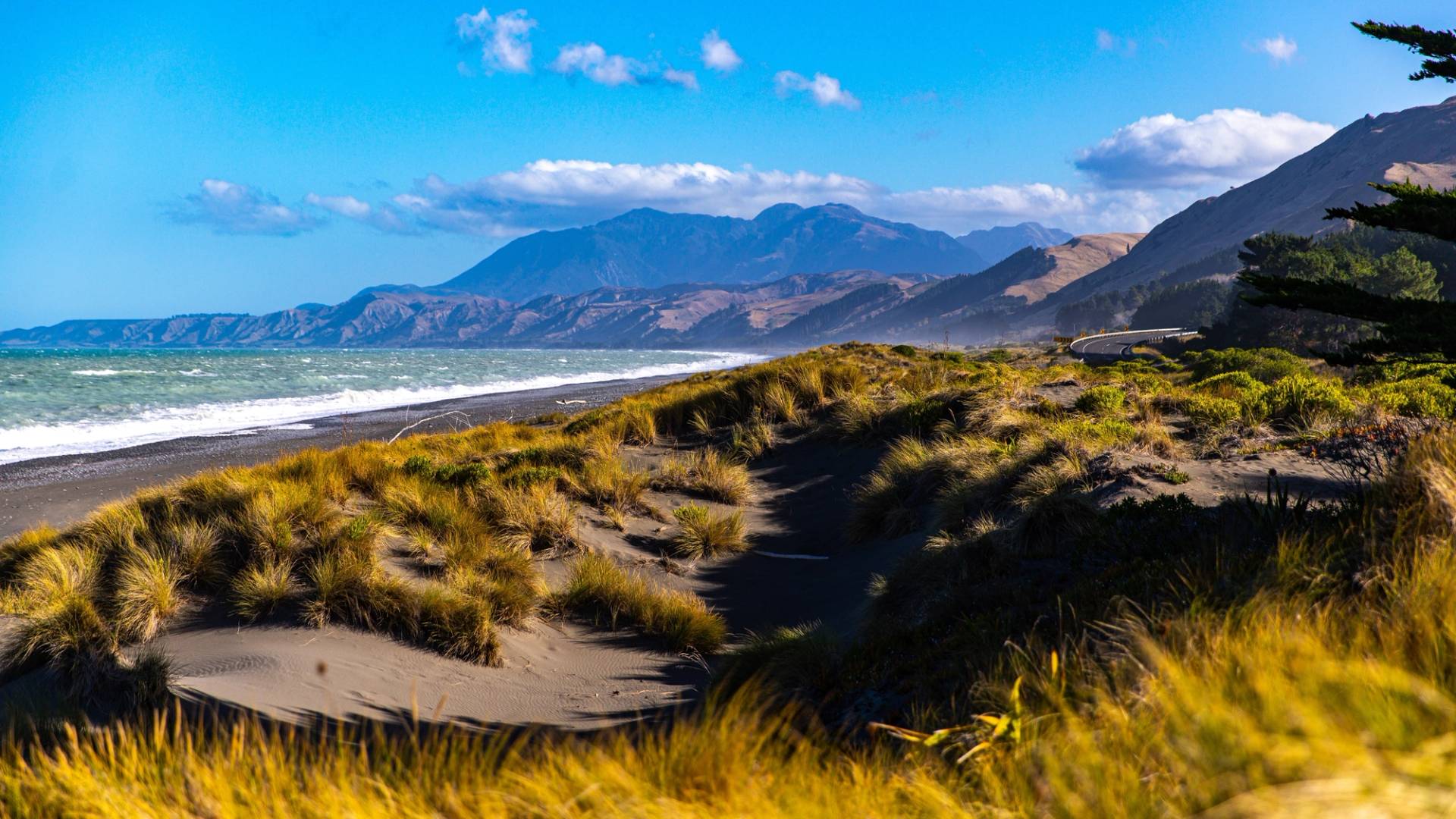 kaikoura new zealand