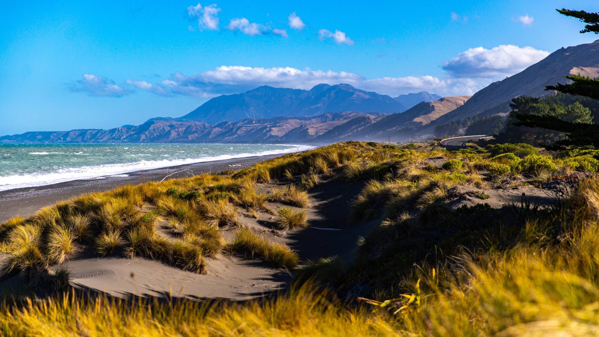 kaikoura new zealand