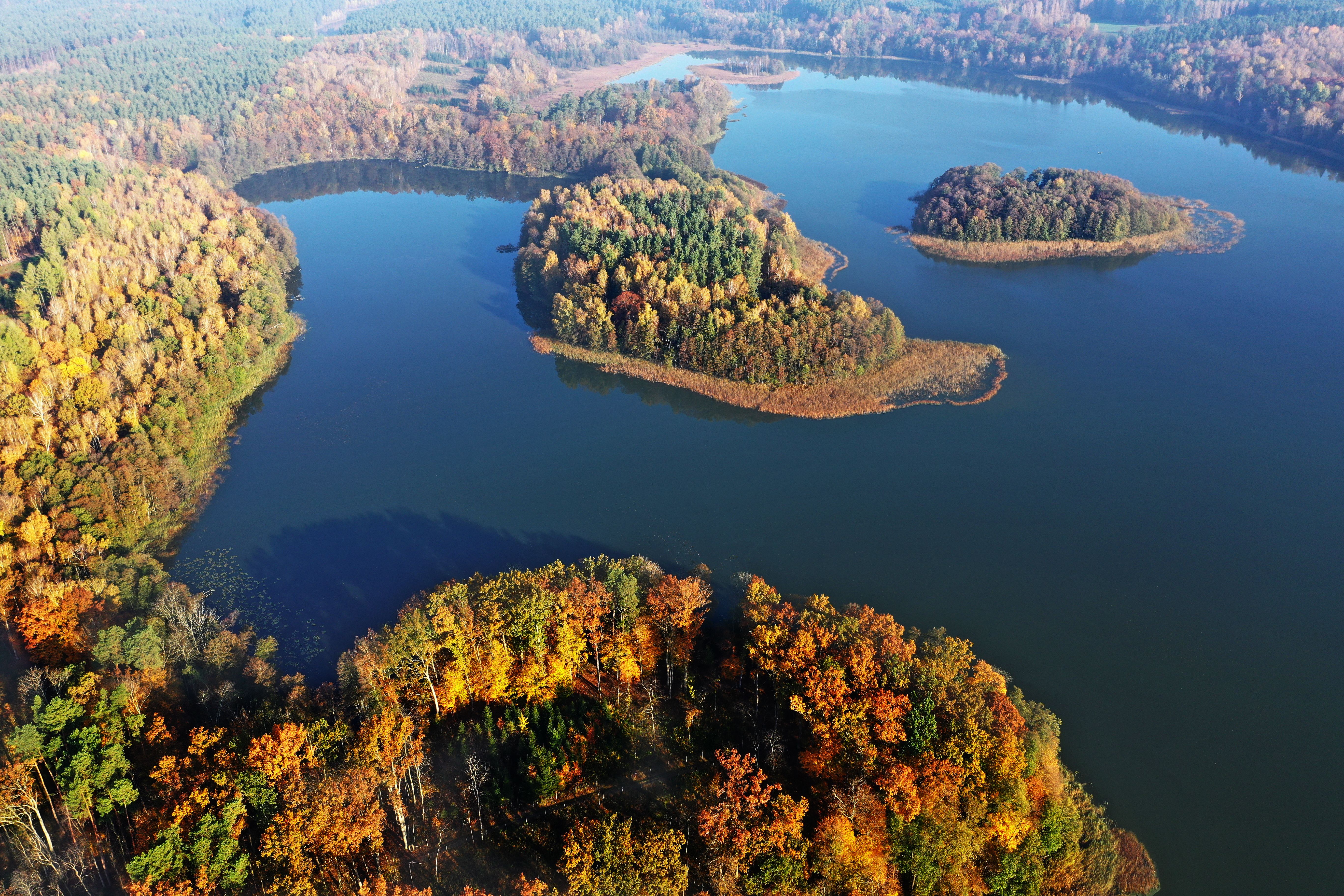 foreste della masuria