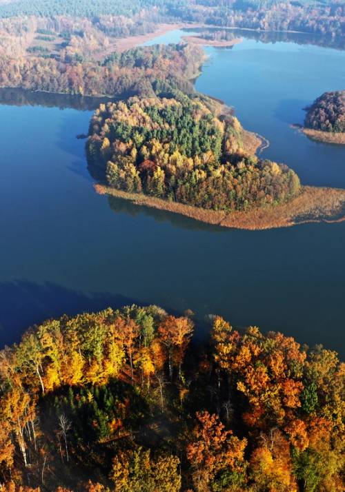 foreste della masuria