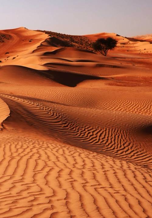 Deserto rosso in Oman