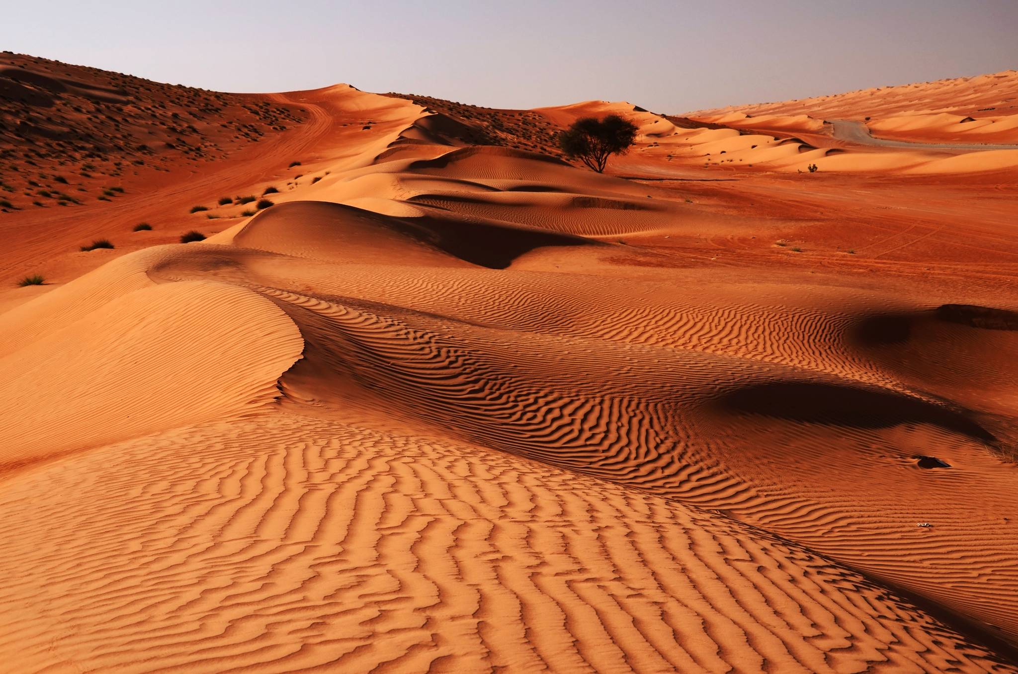 Dune del deserto al tramonto