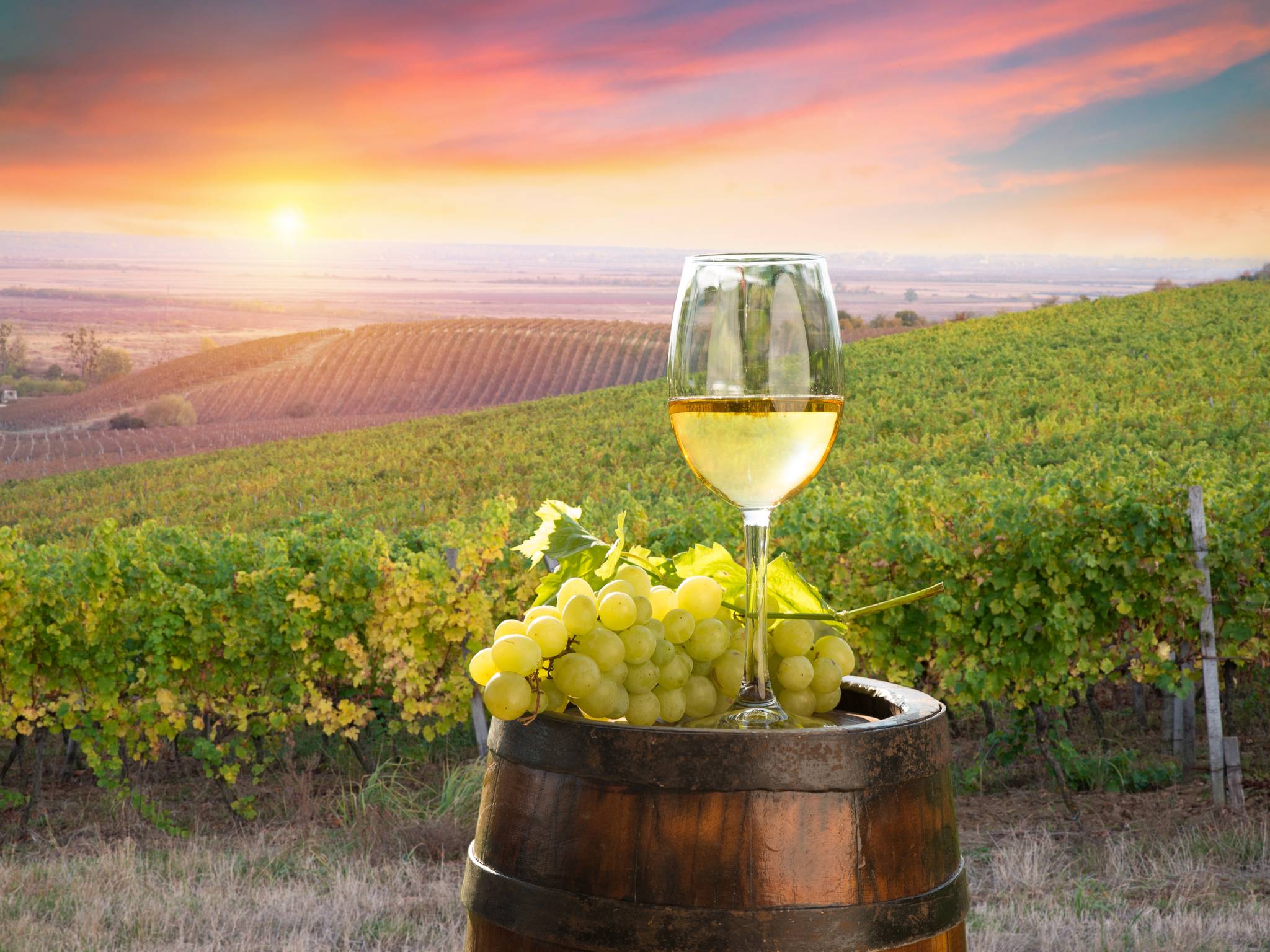 Tuscany road trip: from wine to pasta cover