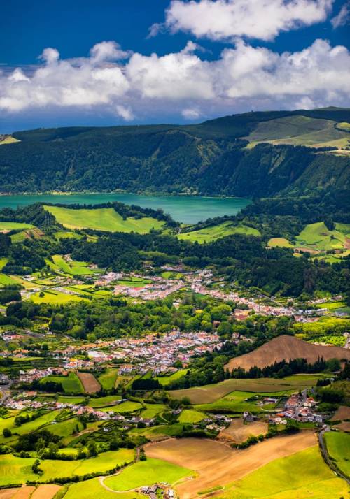 paesaggio rigoglioso