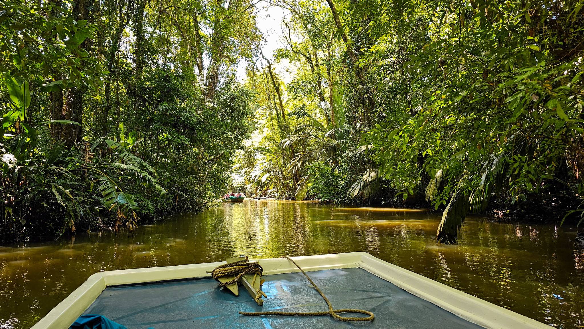 parco nazionale del tortuguero