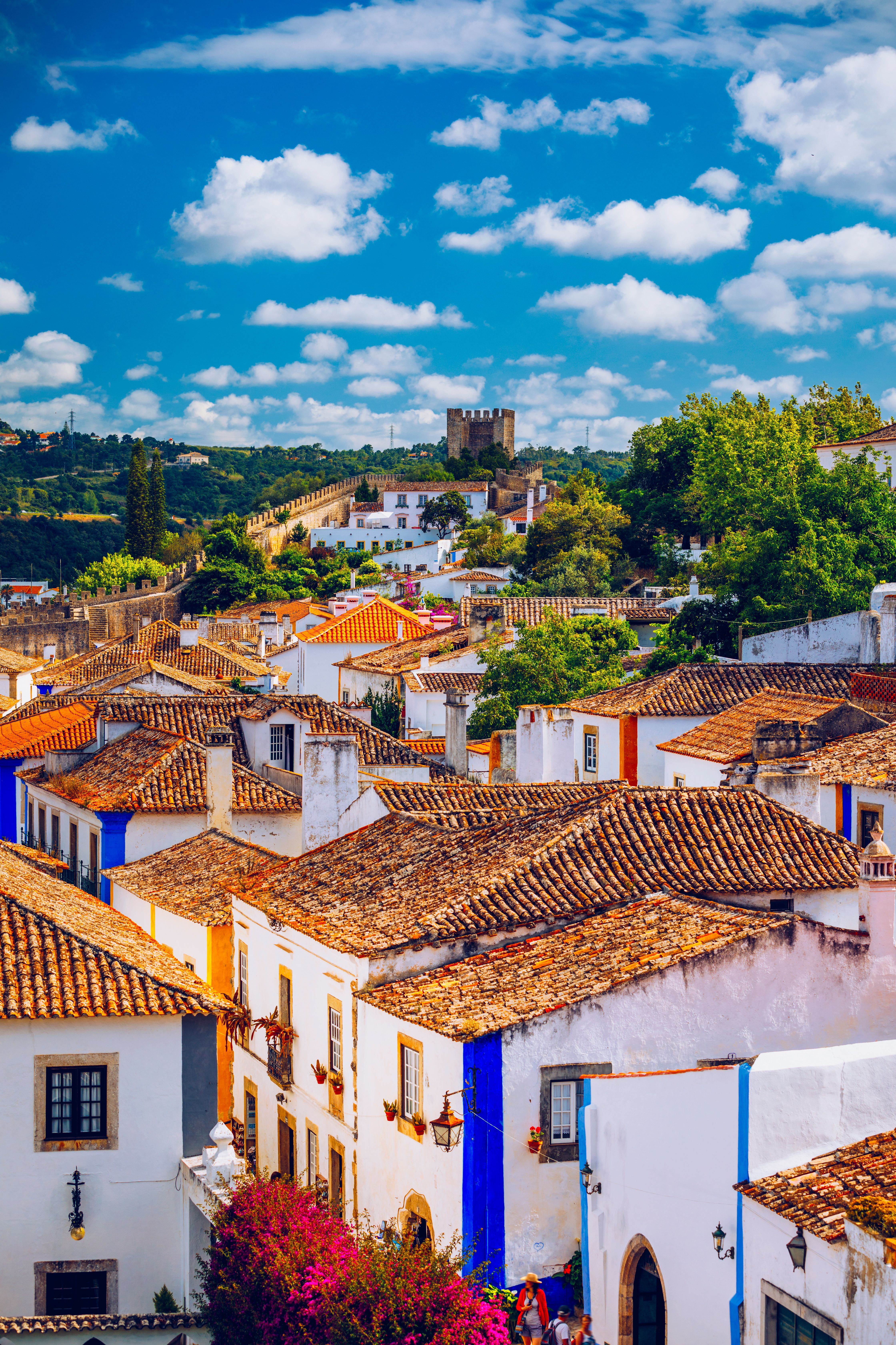 panorama dall alto di obidos 