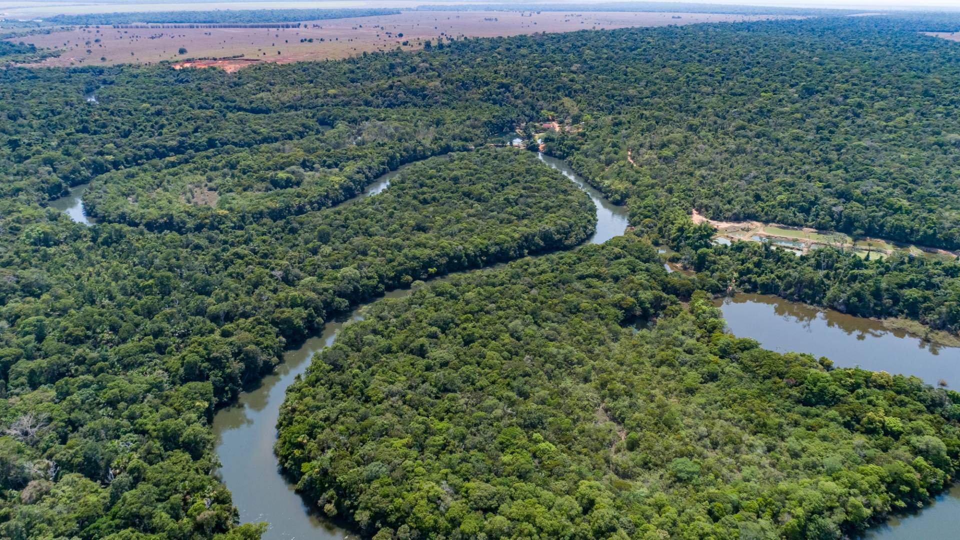 rio delle amazzoni