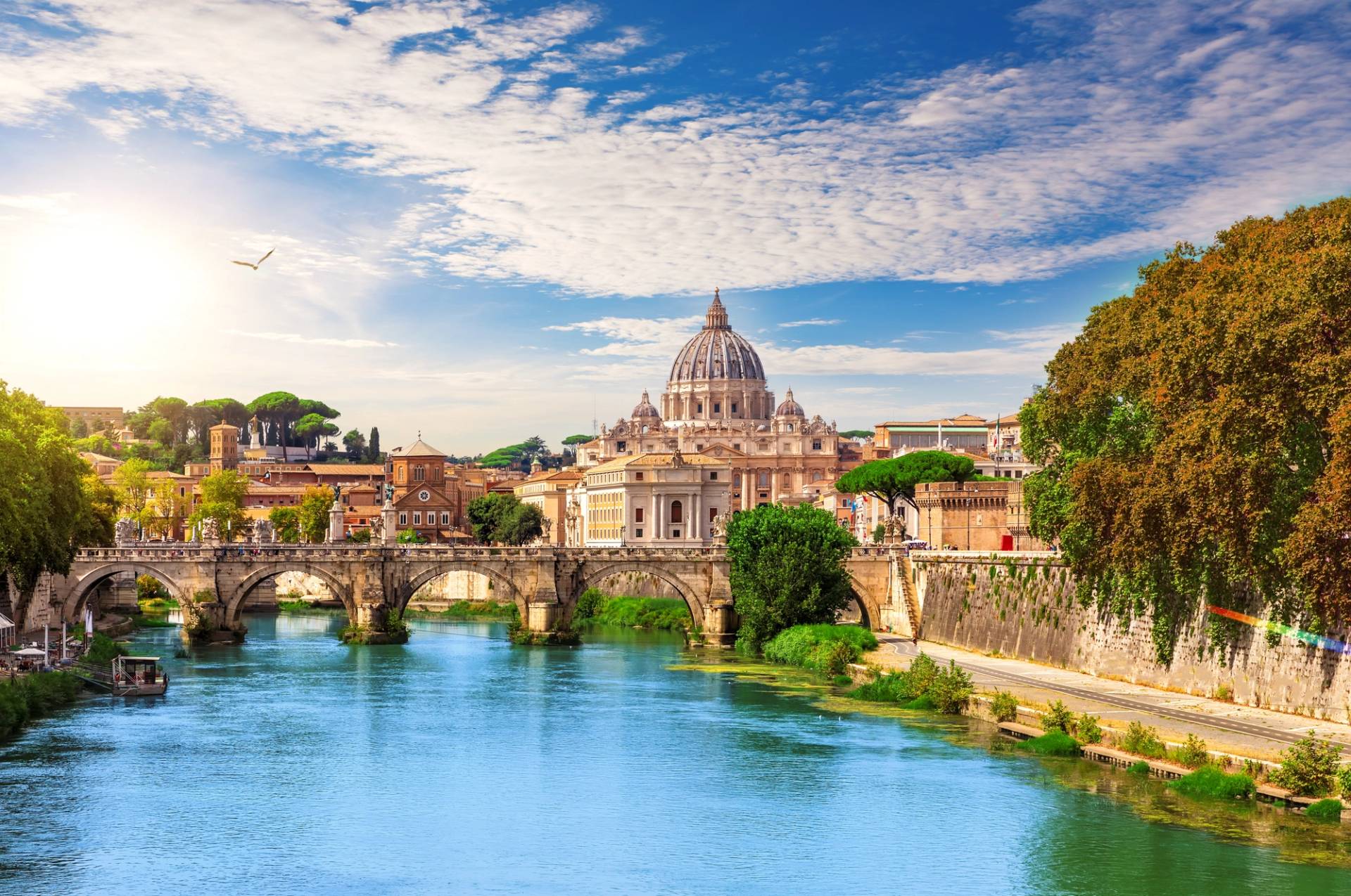 rome st peter cathedral