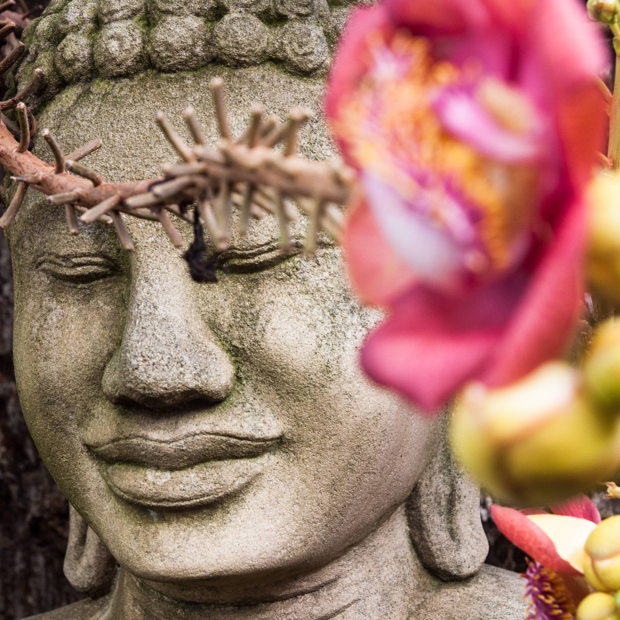 Imperdibile Cambogia