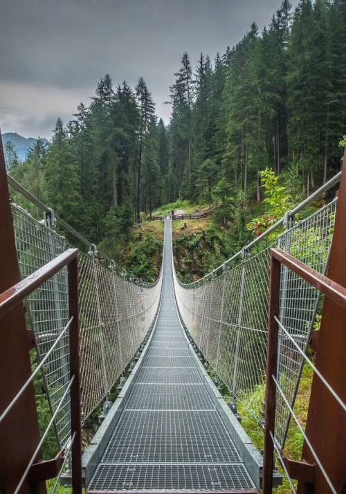 Ponte Tibetano Val di Rabbi