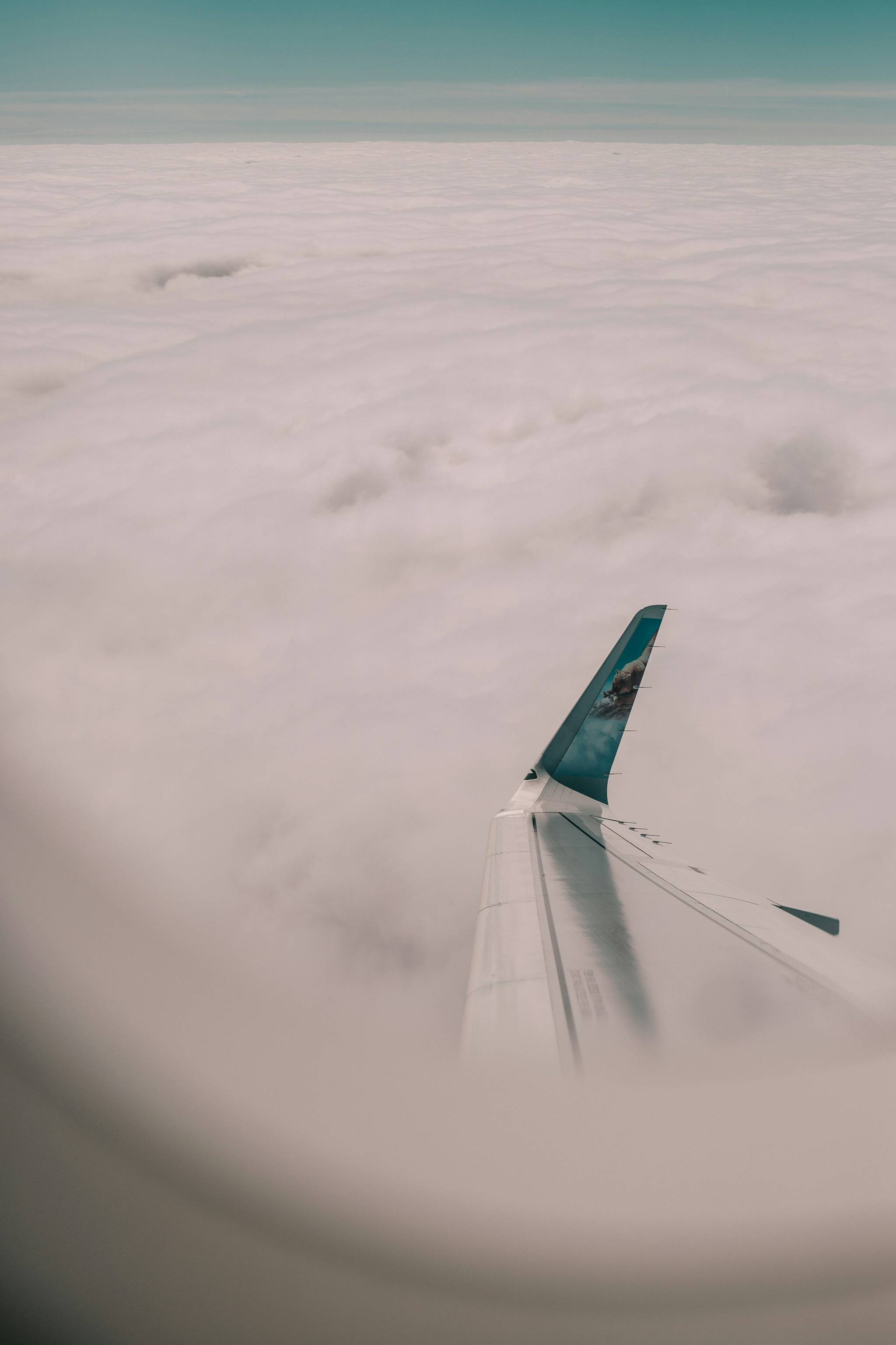 aereo