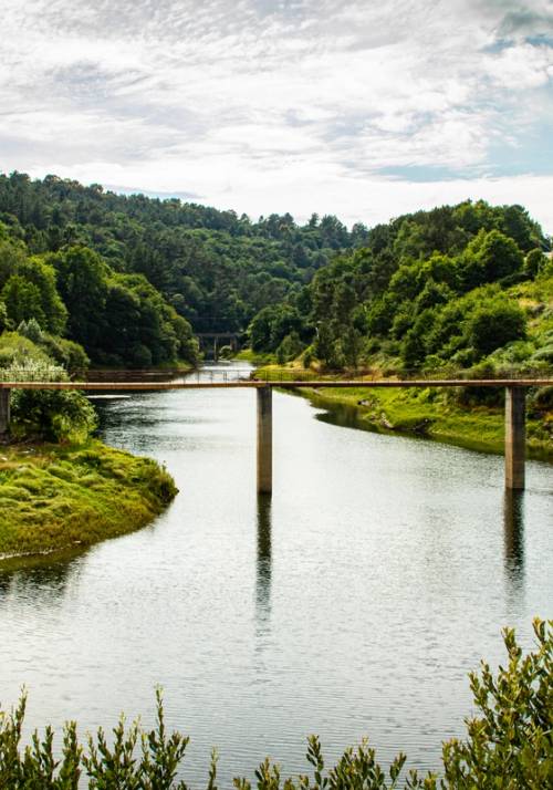 Portomarin nature