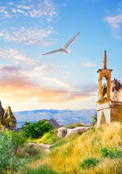 gabbiano che vola su valle di zelve