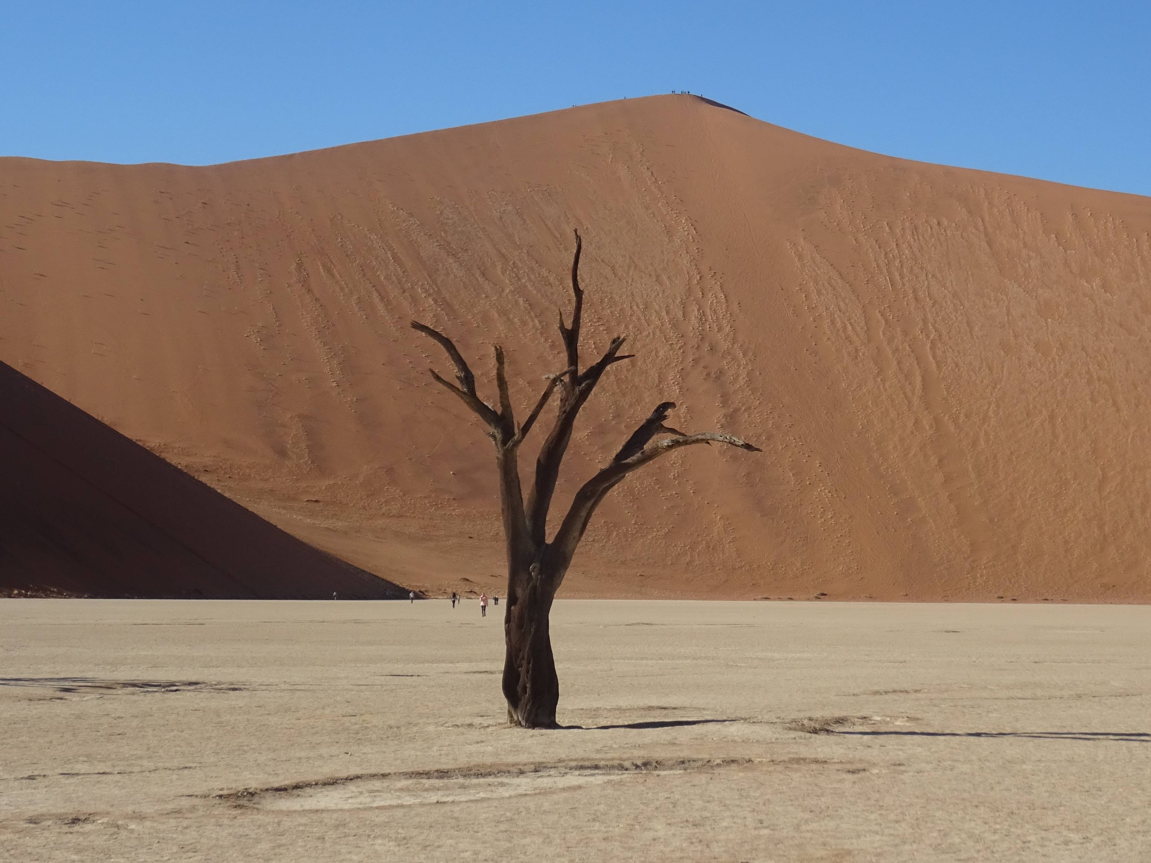 Viaggio alla scoperta della Namibia cover