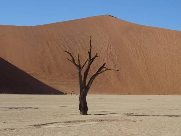 Viaggio alla scoperta della Namibia cover