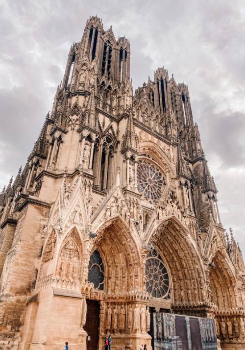 notre dame