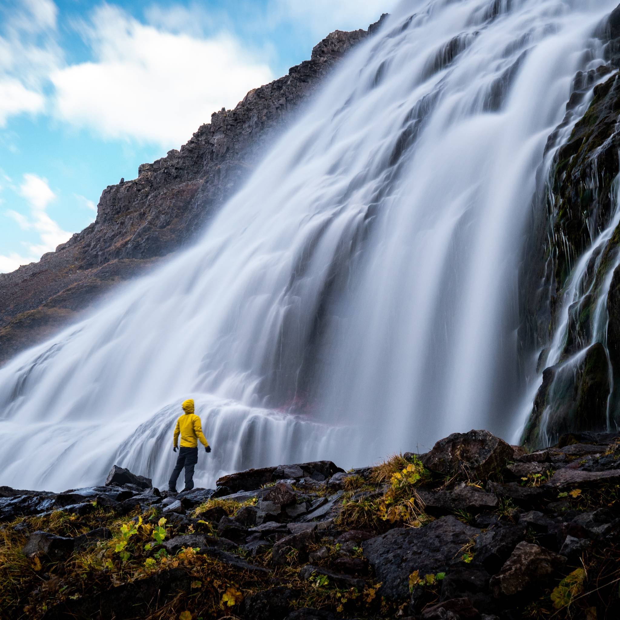 Fiordi occidentali d'Islanda