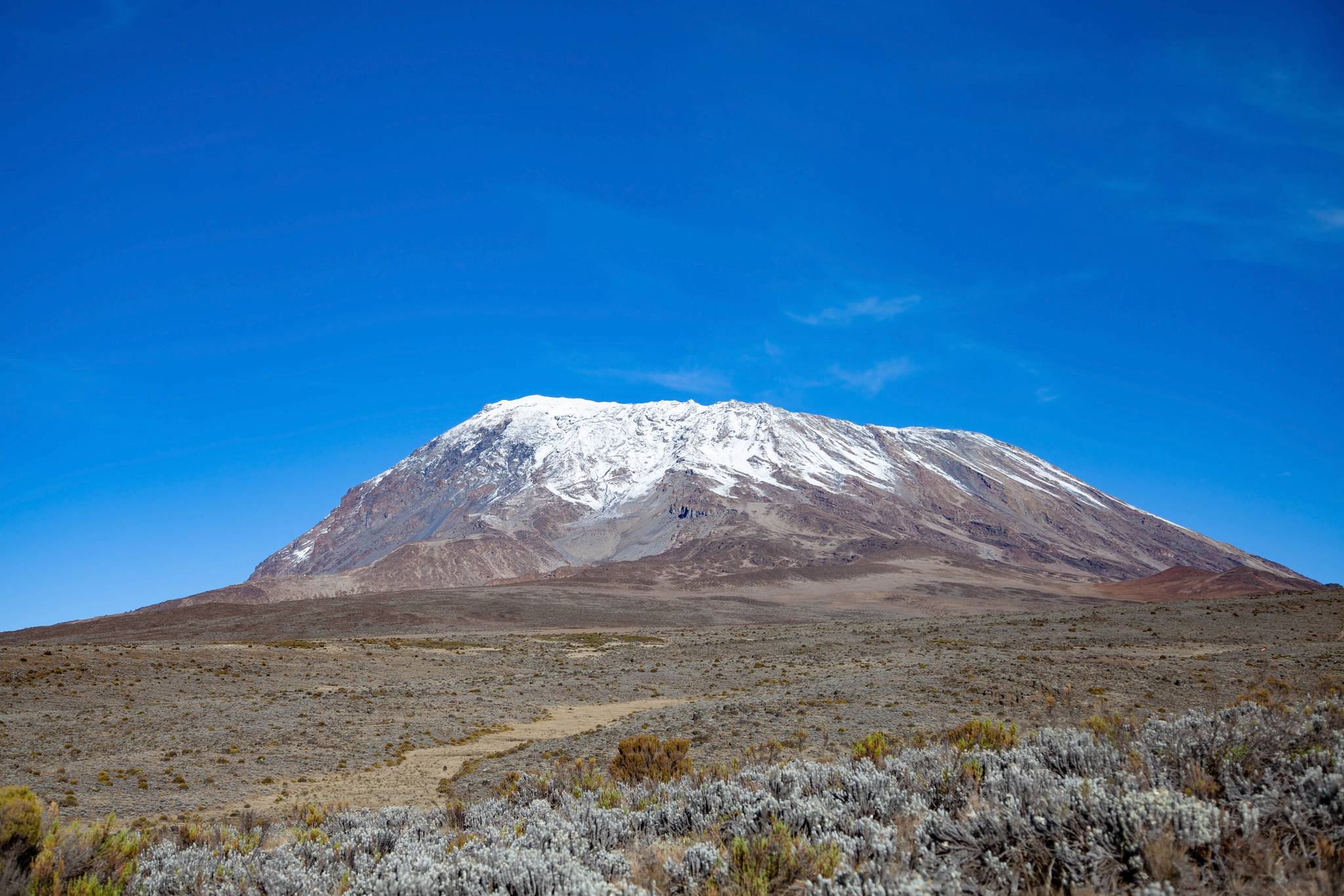 kilimanjaro