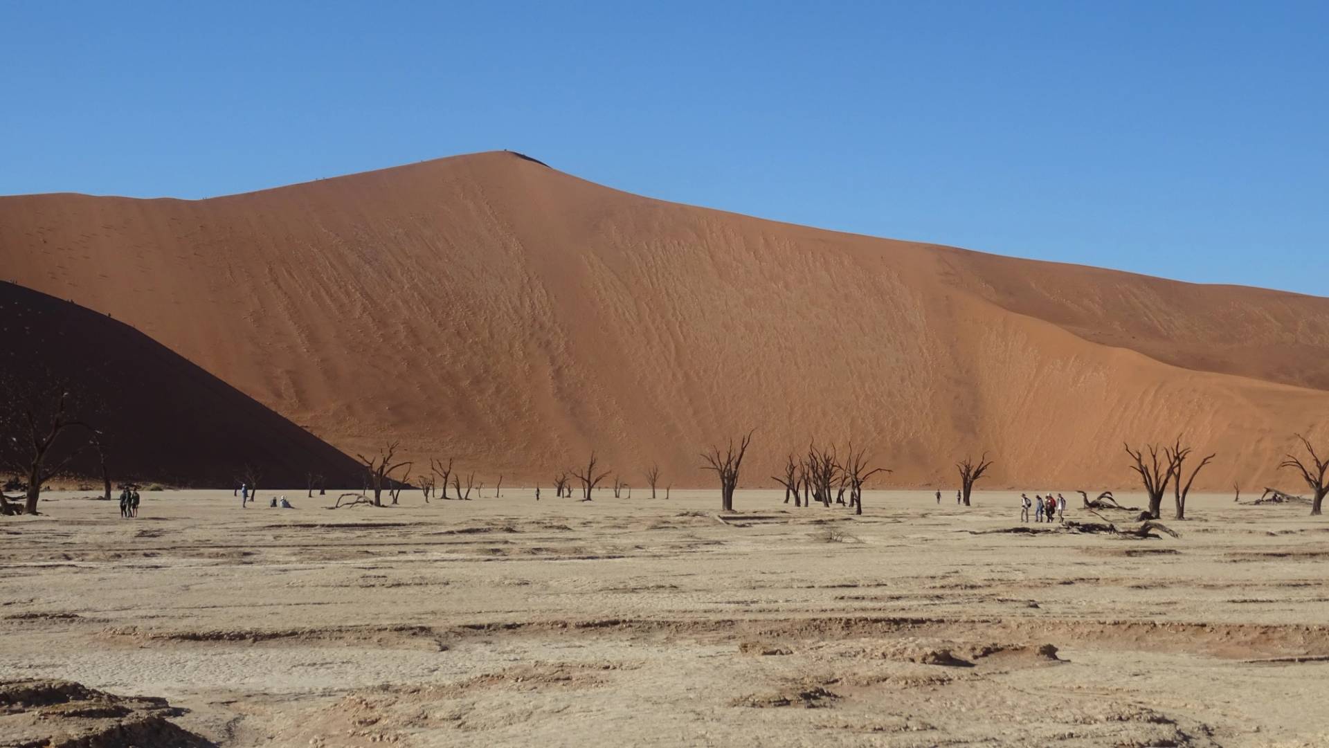 desert