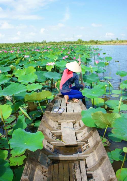 delta del fiume mekong