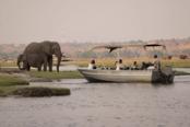 safari in barca