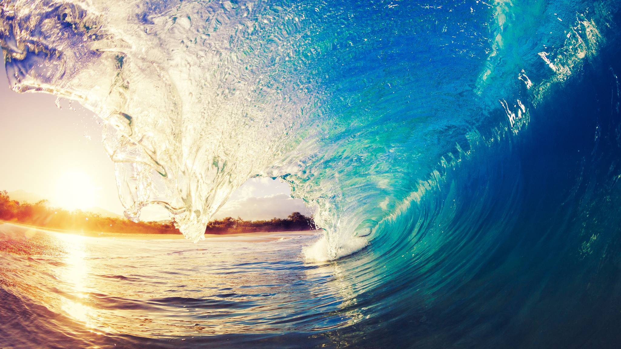 organized surf trips