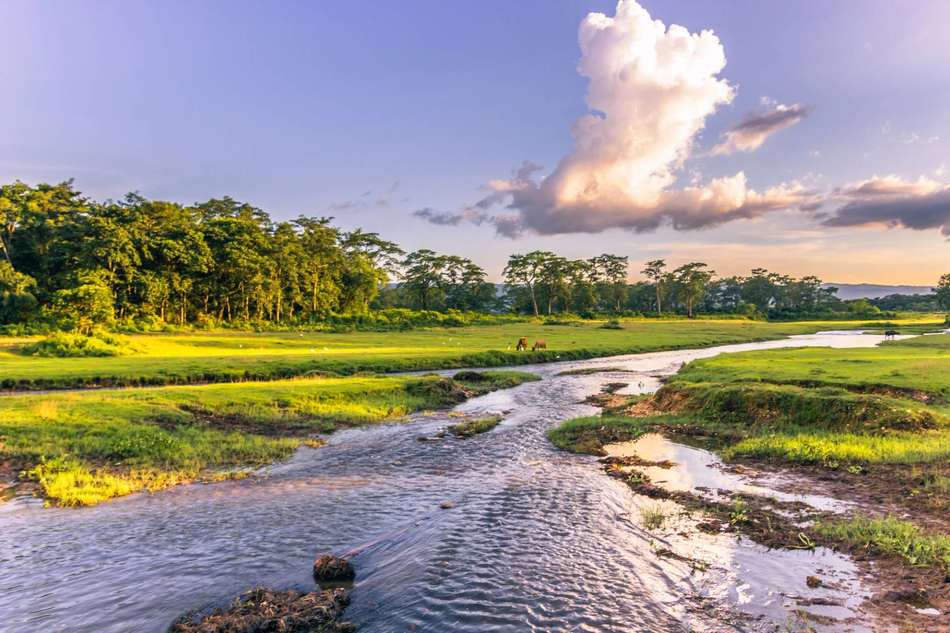 KATHMANDU – CHITWAN