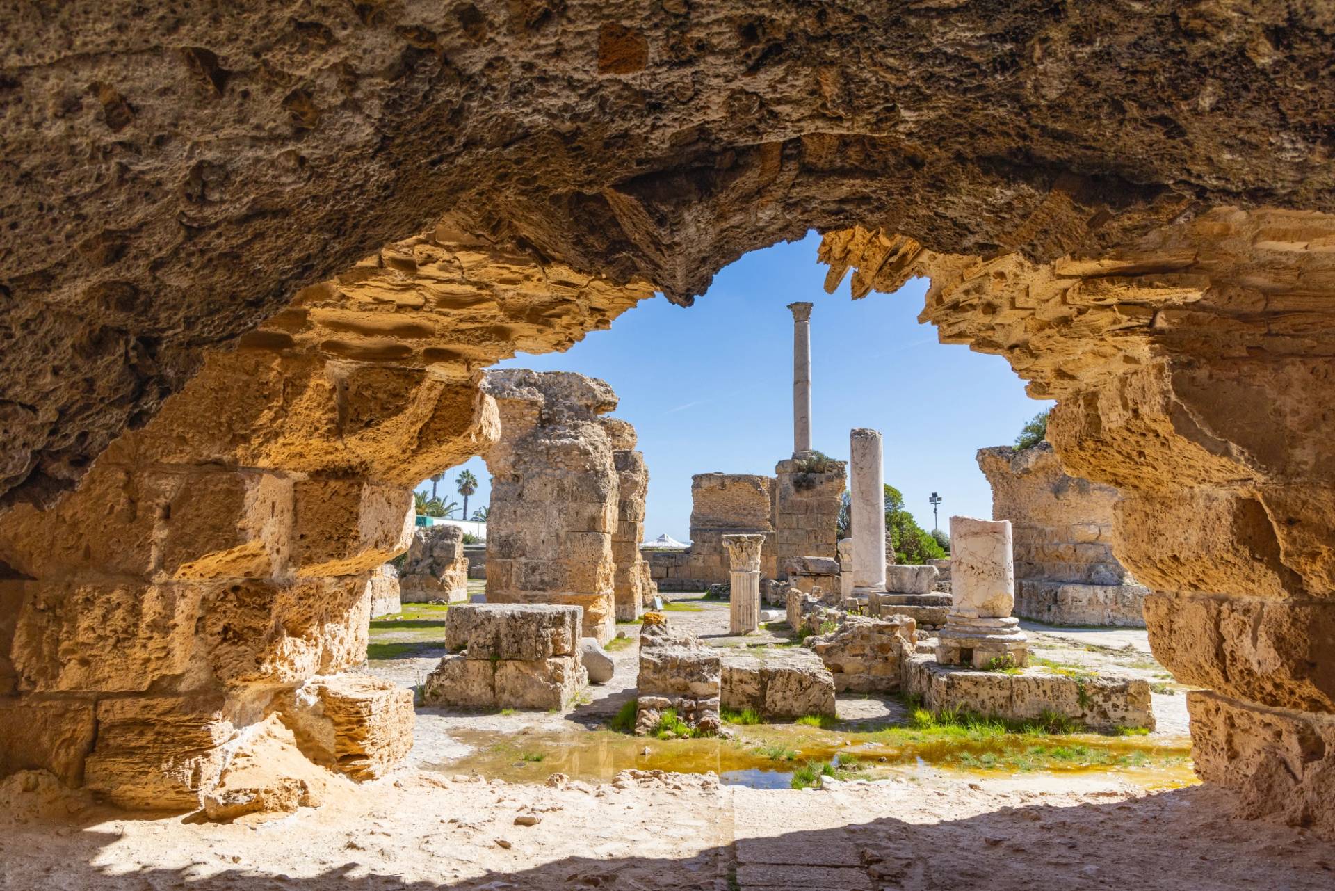rovine cartagine tunisia