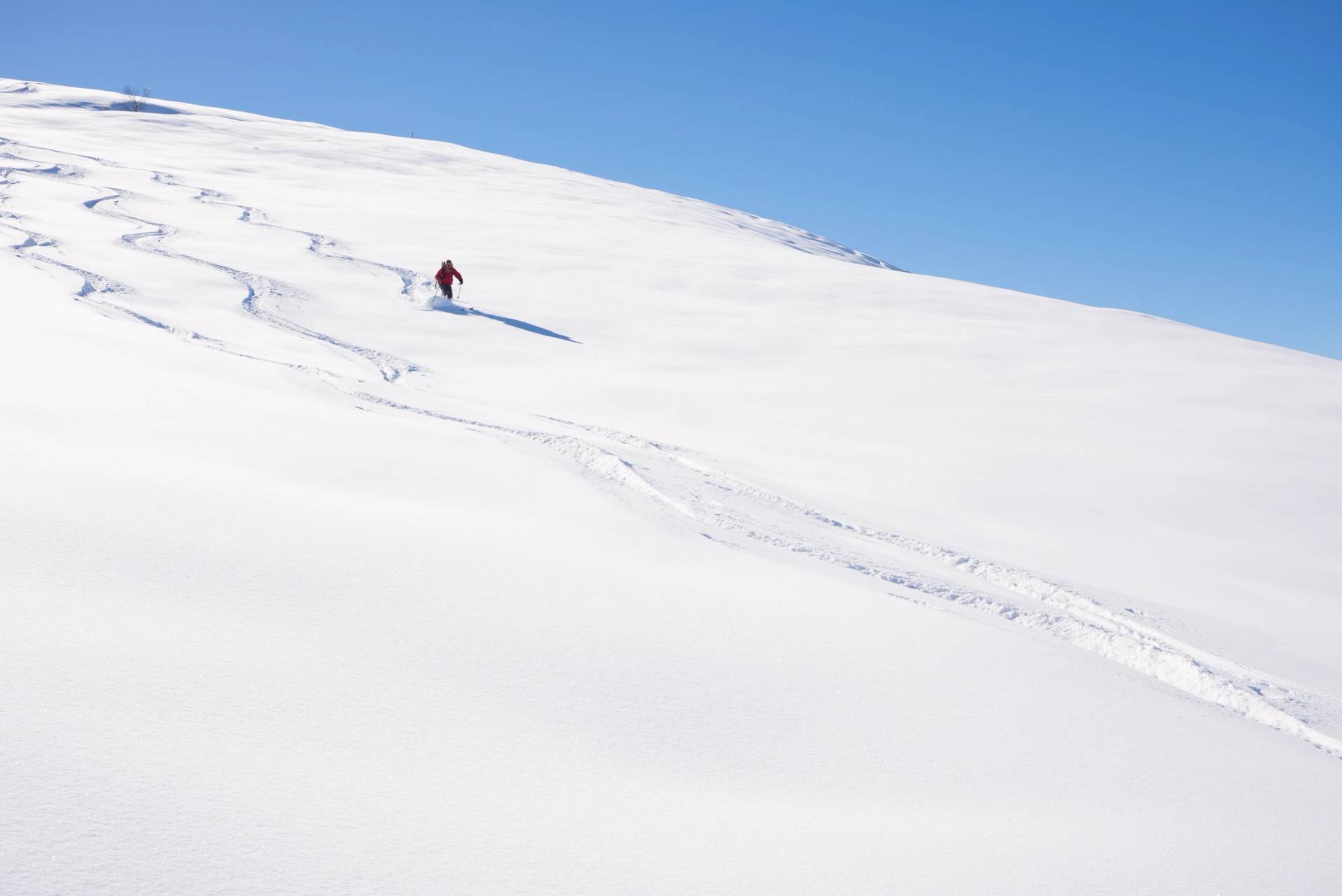 pista sestriere sci