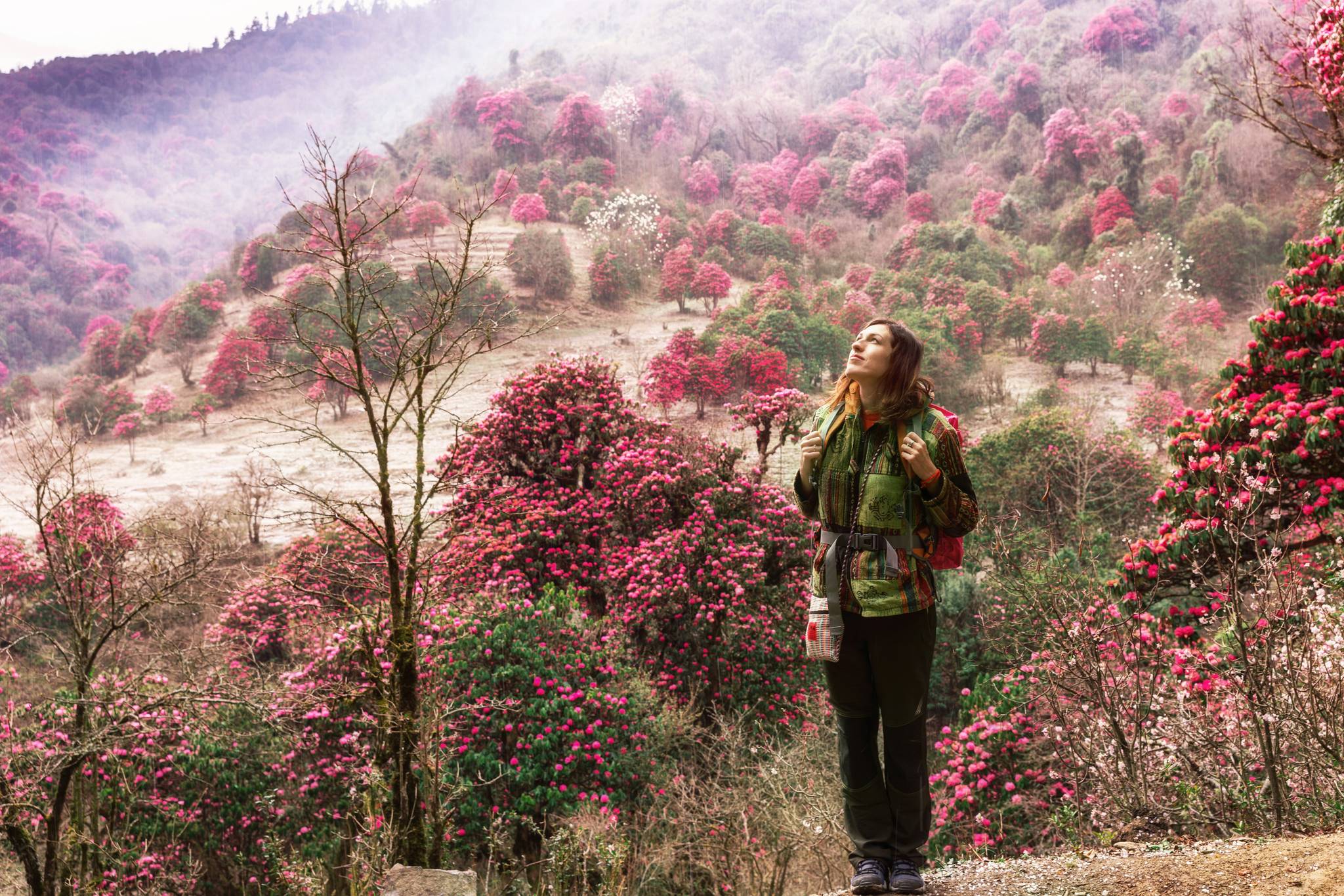 turista su himalaya in nepal