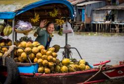 donna vietnamita che vende cocchi