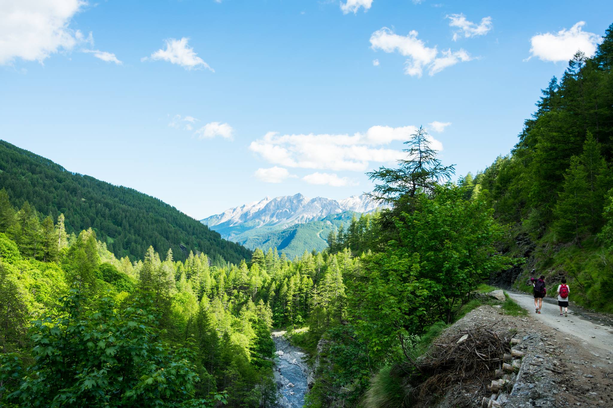 montagne a bardonecchia