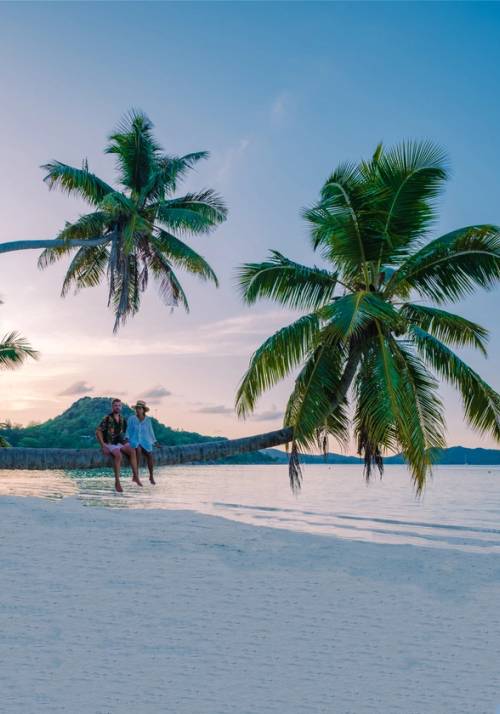 spiagia cote dor seychelles