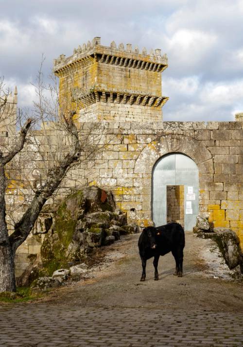 Palas de Rei Castle