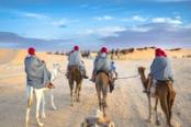 cammelli nel deserto