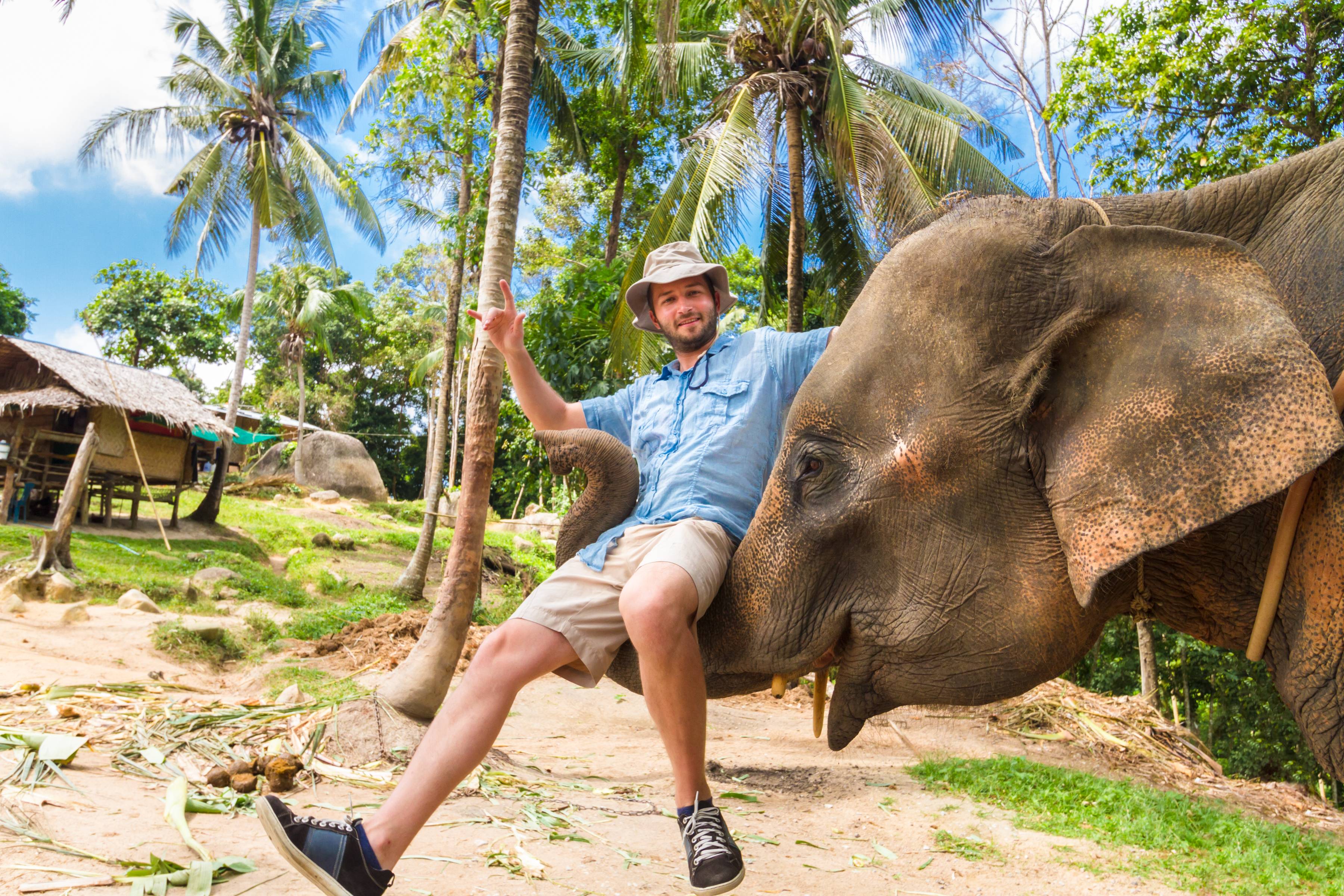 turista con elefante in thailandia